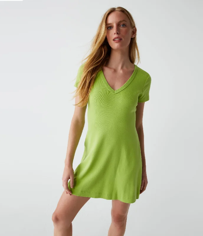 Liza Mini Swing Dress