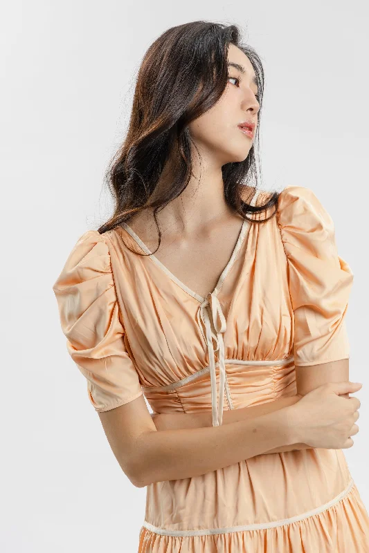 Nicole Orange Silk Dress